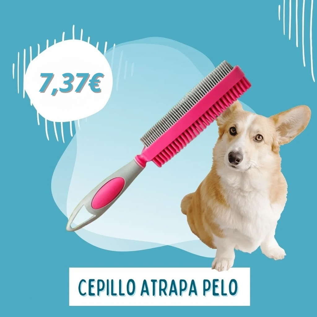 CEPILLO TEXTIL