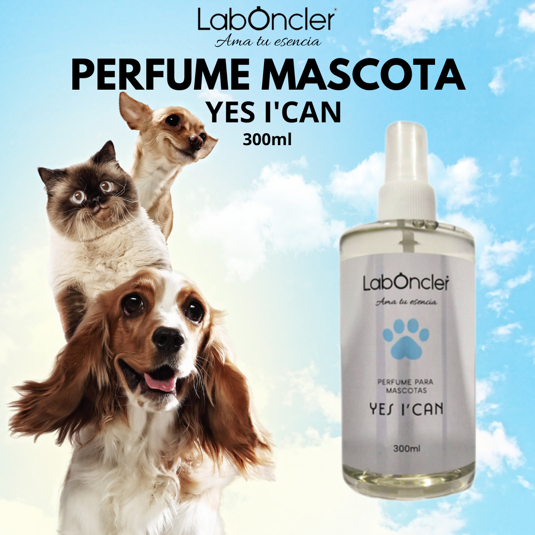 Perfumes para mascotas